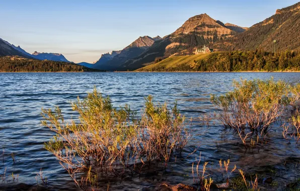 Picture forest, the sky, trees, sunset, mountains, lake, Alberta, Canada