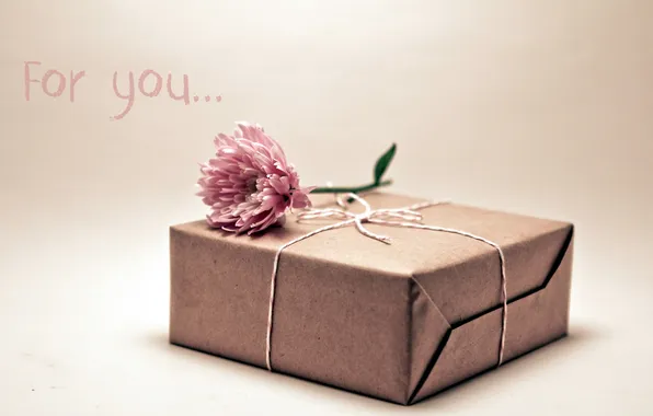 Picture flower, macro, box, gift