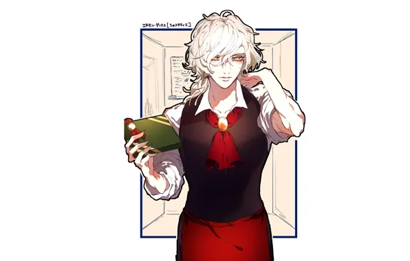 Anime, art, book, guy, Avenger, Fate / Grand Order, Edmond Dantès
