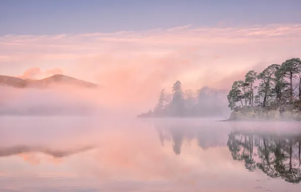 Picture trees, mountains, fog, lake, England, Cumbria
