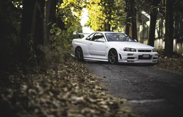 GTR, Nissan, White, Skyline, R34, Road