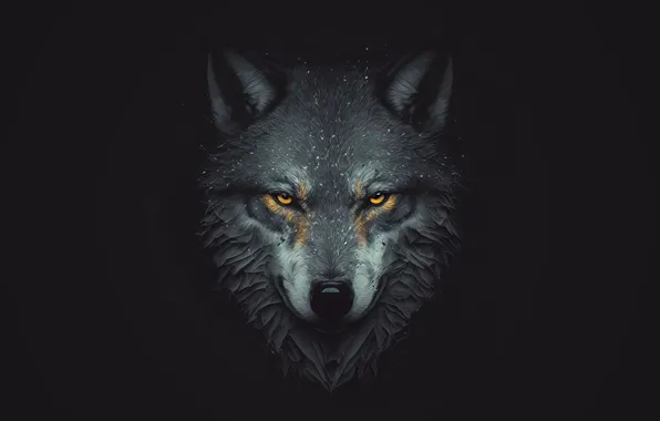 Picture face, wolf, predator, black background, yellow eyes, AI art