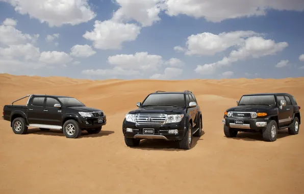 Sand, the sky, desert, Toyota, Hilux, 200, Toyota, Hilux