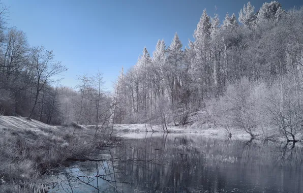 Landscape, nature, river