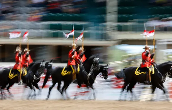 Picture horse, rider, Rodeo, Royal canadian mounted police, Calgary Stampede