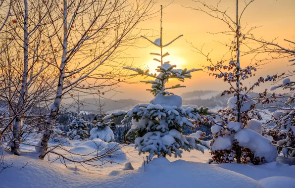 Winter, forest, the sky, light, snow, trees, sunset, mountains