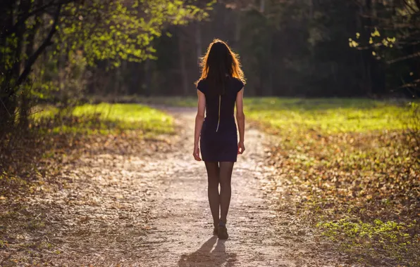 Picture forest, girl, the sun, figure, dress, path, autumn