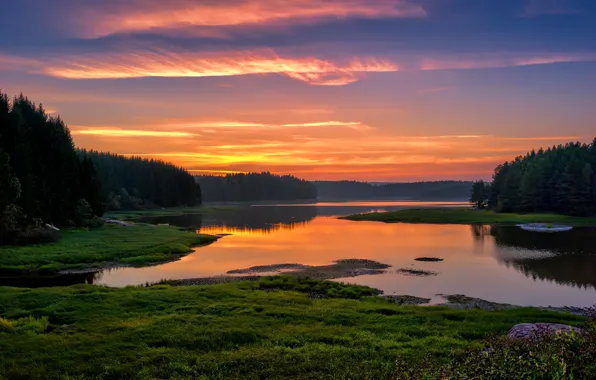 Picture forest, trees, landscape, sunset, river