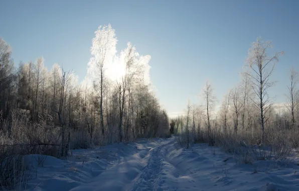 Frost, road, forest, the sky, the sun, light, snow, trees