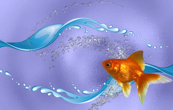 Picture SEA, MOOD, THE WALLPAPERS, GOLDFISH
