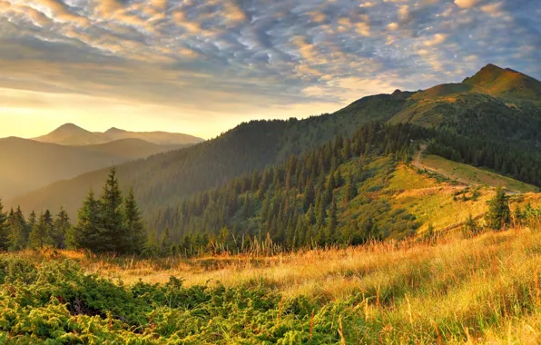 Autumn, forest, the sky, clouds, light, mountains, fog, hills