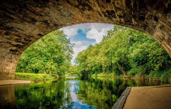 Greens, trees, bridge, shore, channel, arch, pond