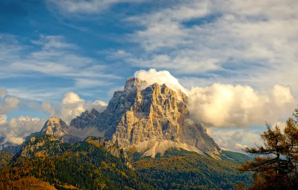 Picture forest, sky, trees, landscape, Italy, nature, mountains, clouds