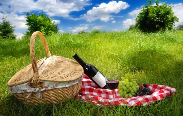 Picture the sky, grass, clouds, landscape, wine, grapes, picnic, nature