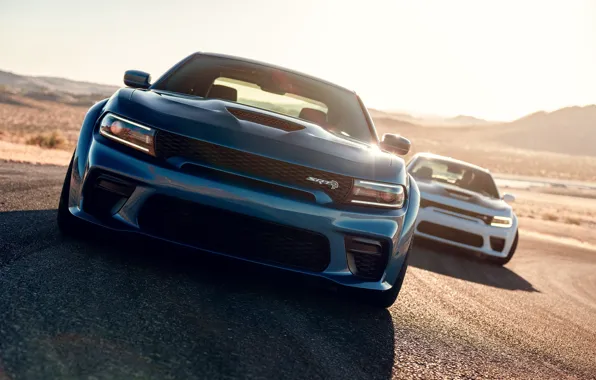 Road, Speed, Bumper, The hood, Dodge, Lights, Charger, Hellcat