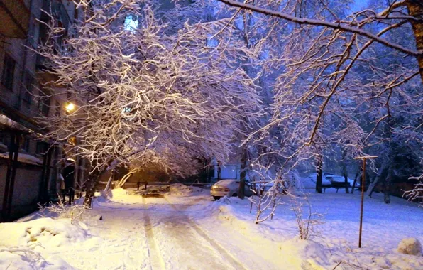 Picture snow, comfort, silence, beauty