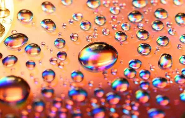 Water, drops, surface, blur, abstract, refraction, light, bokeh.