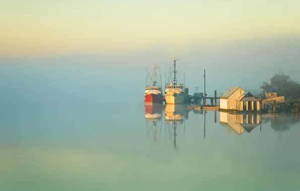 Sea, the sky, trees, fog, lake, reflection, ship, morning