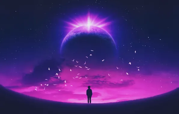 Stars, birds, planet, silhouette, purple, solar Eclipse, stars, birds