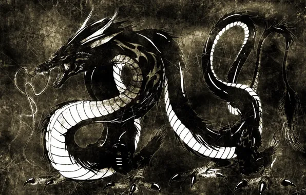 Black background, 2012, dragon, the year of the dragon, coming, Chinese water dragon