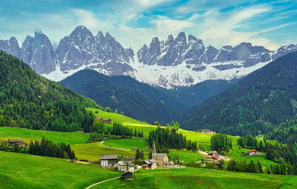 Picture field, forest, trees, mountains, rocks, meadow, Italy, house