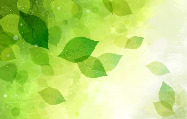 Picture leaves, nature, vector