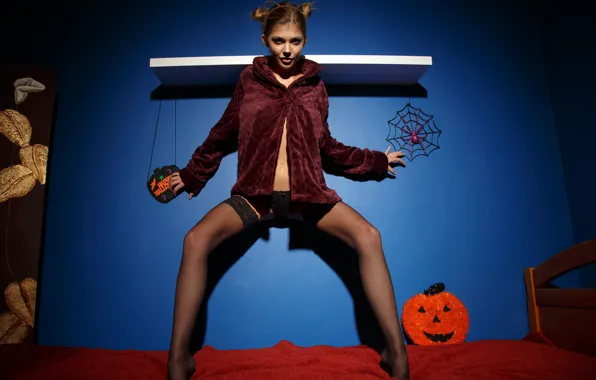 Cat, look, panties, tummy, stockings, Halloween, legs, Monika Dee