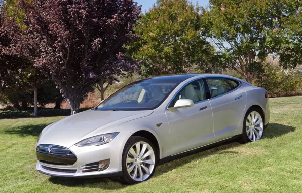 Nature, sedan, Tesla, Model S