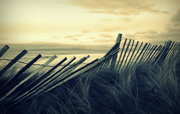 Sea, wave, beach, the sky, grass, landscape, storm, mood