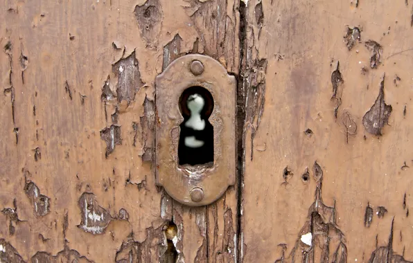 Picture macro, castle, the door