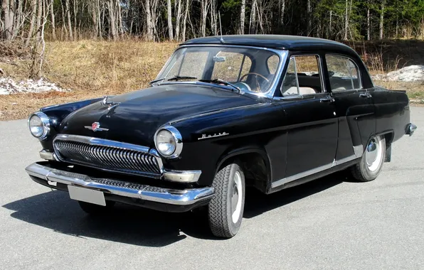 Forest, background, the front, Volga, GAS, 1962, Volga, 21L