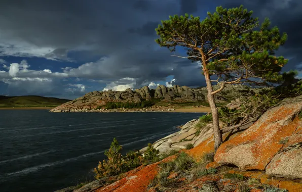 The sky, lake, stones, tree, Kazakhstan, pine, Lake Toraigyr, Bayanaul national Park