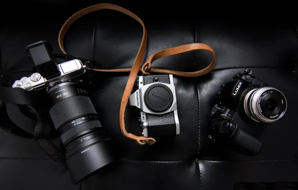 Leather, the camera, strap, olympus, lumix