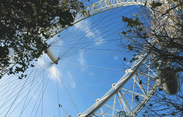 Picture the sky, trees, branches, Ferris wheel