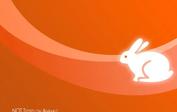 Orange, minimalism, rabbit