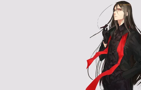 Picture guy, grey background, long hair