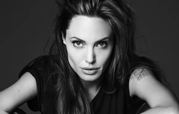 Look, girl, Wallpaper, actress, brunette, Angelina Jolie, Angelina Jolie, black and white