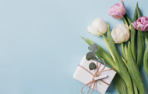 Love, flowers, gift, tulips, love, pink, white, white