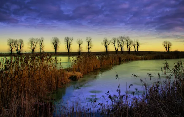 Grass, clouds, trees, river