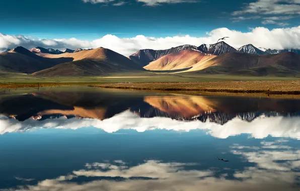 The sky, clouds, flight, mountains, lake, reflection, bird, China
