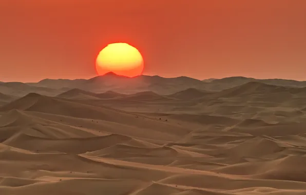 The sun, sunset, desert, barkhan, UAE, Abu Dhabi
