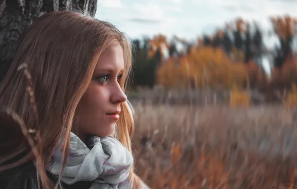 Girl, portrait, girl, bokeh.