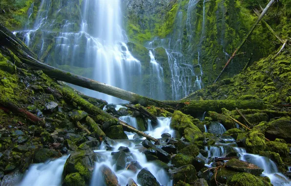 Picture stones, waterfall, moss, Oregon, cascade, Oregon, logs, Three Sisters Wilderness
