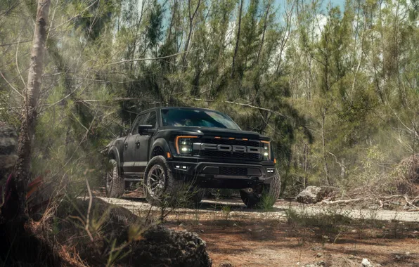Ford, Black, Road, Pickup, Forest, Ford F-150