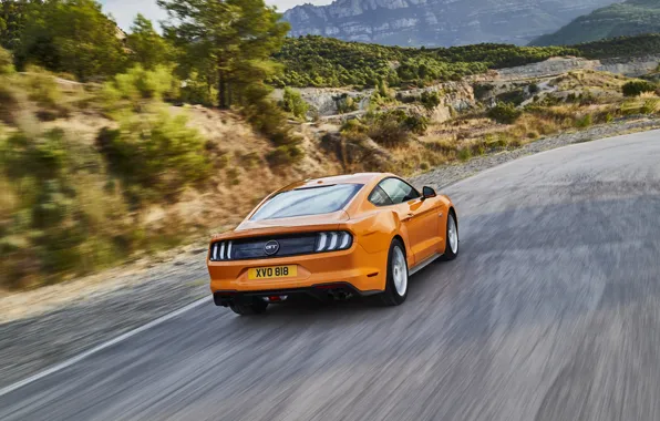 Picture road, orange, Ford, rear view, 2018, fastback, Mustang GT 5.0