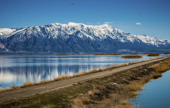Road, mountains, lake, desert, spring