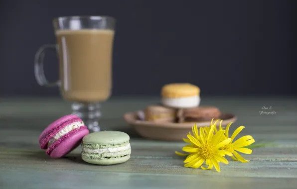 Flowers, coffee, cookies, desert, sweet, macaron, macaroon