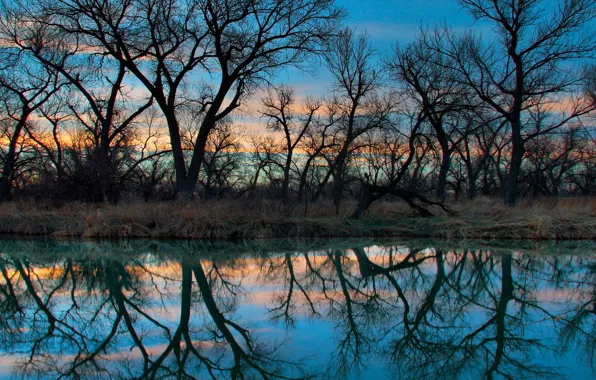 Picture clouds, trees, lake, reflection, the evening, glow