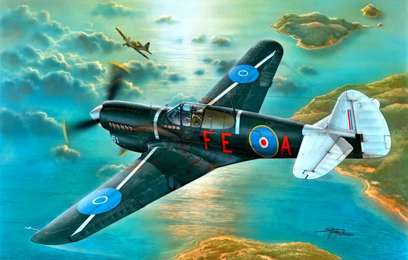 Picture Warhawk, Zero, Kittyhawk Mk.III, with the engine, Allison V-1710-73, Royal New Zealand Air Force, P-4OK, …