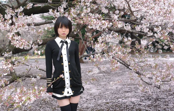 Girl, flowers, Park, Sakura, flowering, pink, park, flowers
